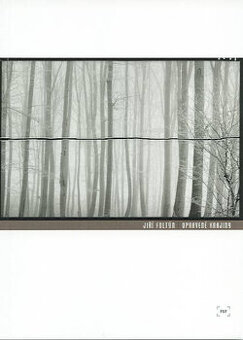 JIŘÍ FOLTÝN: UPRAVENÉ KRAJINY - 1