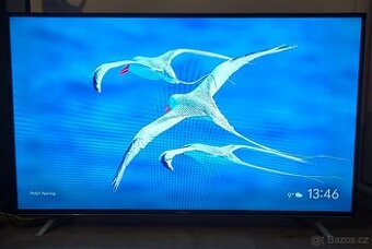 Smart TV Thomson 139cm (možná doprava)