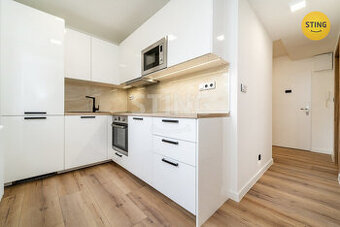 Byt 2+1 k pronájmu, Ostrava/Moravská Ostrava, ulice , 133775