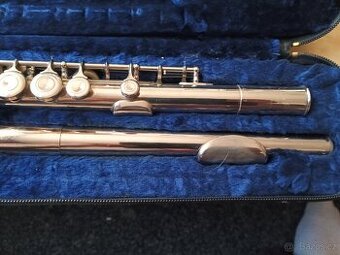 Prodám nebo vyměním