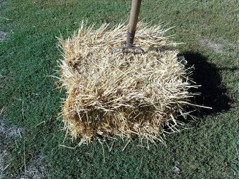 Sláma pšeničná ječná seno