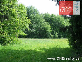 Pronájem pozemku - Rokytnice nad Jizerou