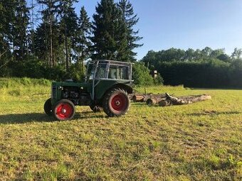 Koupím dřevo na pokácení i topoly.