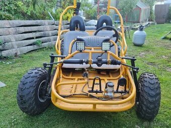 Buggy