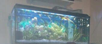 Akvarium
