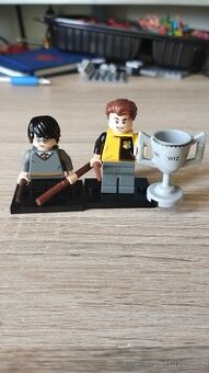 Harry Potter a Cedric diggory - 1