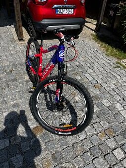 Crussis e-fiona 19”