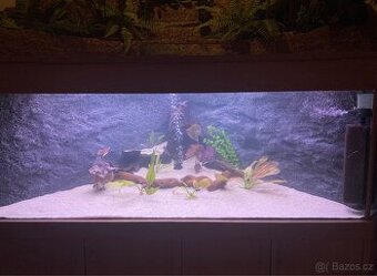 Akvárium 500l