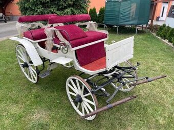 KOČÁRY, BRYČKY ZA KONĚ
