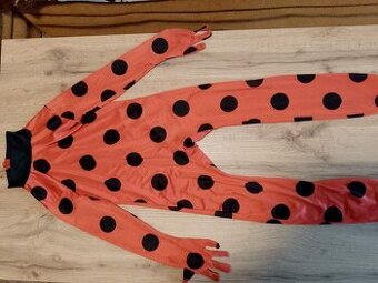 kostým Kouzelná beruška 4-6 let + drobnosti