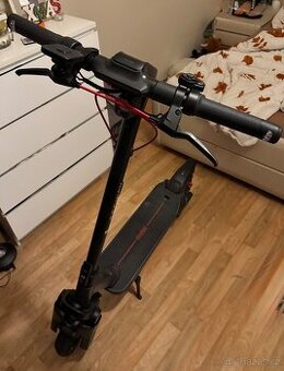 Koloběžka Segway Max G3 E