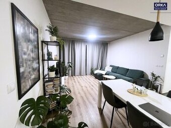 Pronájem bytu 2+kk Zábřeh, ul. 17. listopadu