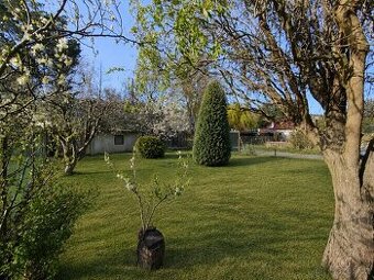 Zahrada v obci Želenice u Mostu