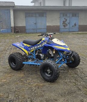 Gas Gas wild 300 2stroke 