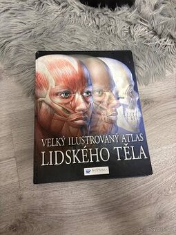 Lidské tělo