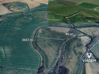 Pole 3 703 m², Podíl 21 % o výměře 771 m²