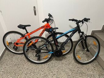 Horské kolo - ALPINA ECO M10 26'' velikost 17(S)