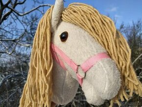 Hobby horse