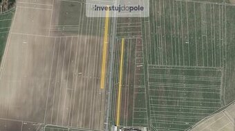 Prodej pole v k.ú. Klenovice u Soběslavi