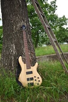 Baskytara+case
