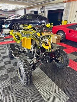 Závodní Can am DS 450 XMX s TP - 1