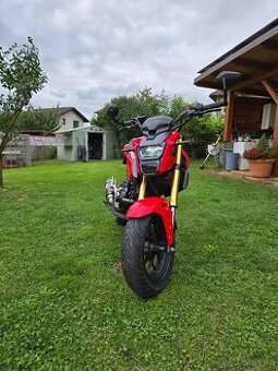 Honda MSX 125
