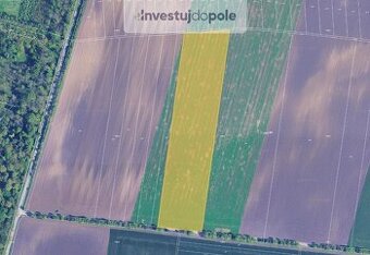 Prodej pole 31 775 m², Sokolnice, ev.č. 2025-07-02