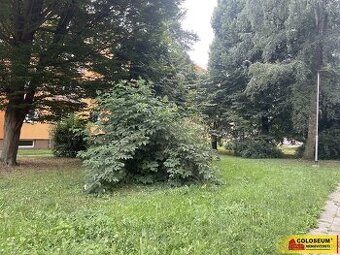 Olomouc - zahrada, 134 m2, studna, elektřina - pozemek