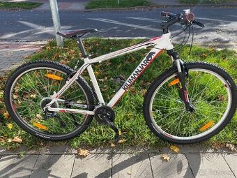 29" horské kolo Kilimanjaro alu rám L 19"