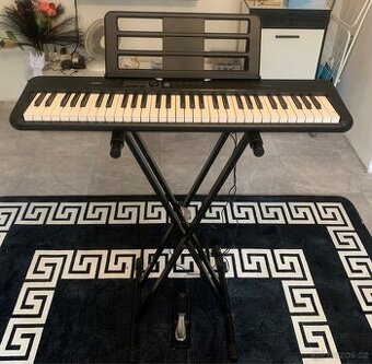 Prodám a nebo vyměním za harmoniku elektrické klávesy casio