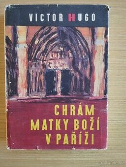 Chrám matky boží v Paříži