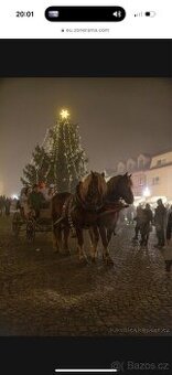 Prodám Valacha ČMB