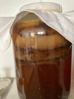 Kombucha