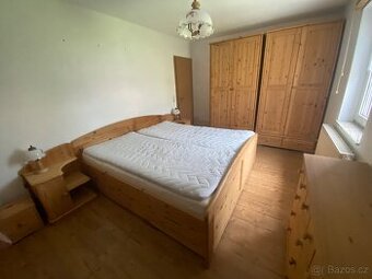 Loznice masiv borovice