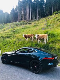 Jaguar F-Type 3,0 V6 S Britisch Racing Green