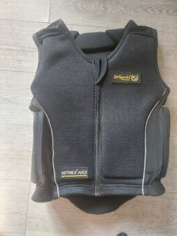 Bezpečnostní pateřák
