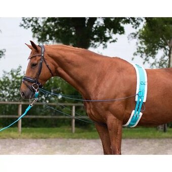 Lonžovací obřišník QHP Ontrario Luxury
Vyberte barvu: lime