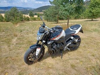 Yamaha fz1n 2009