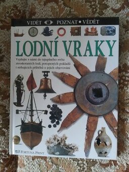 Prodám knihu Lodní vraky - Vidět, poznat, vědět