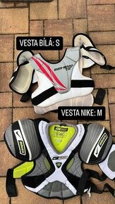 Vesty na led