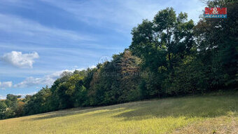 Prodej lesa, 845297 m², Kněždub - 1