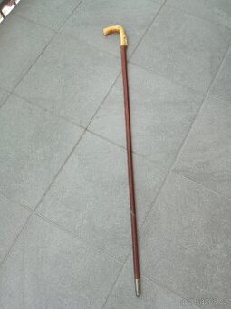 Vycházková hůl špacírka - 1