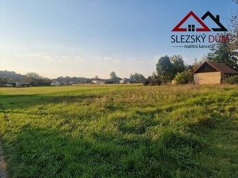 Prodej stavebního pozemku 1 139 m², Dětmarovice, ev.č. 12649
