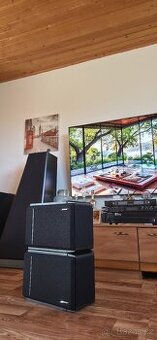 Bose 301 series iv 4 repro