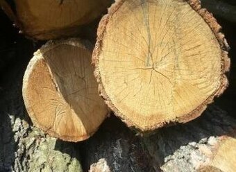 Tvrdé dřevo na topení