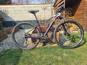 Dámské kolo Specialized - comp jett
