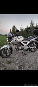 Cbf 250