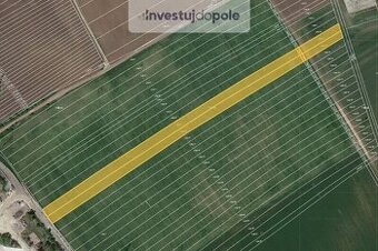 Prodej pole v k.ú. Ladná - 1