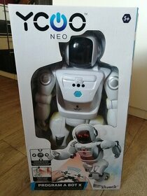 Robot