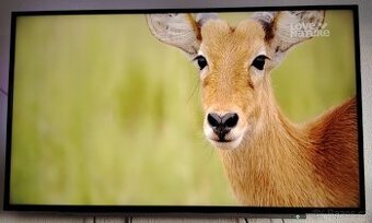 Toshiba 55UL2B63DG smart 4K tv 139cm DVB-T2